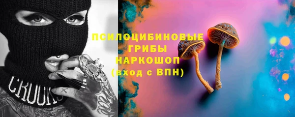 ПСИЛОЦИБИНОВЫЕ ГРИБЫ Новодвинск