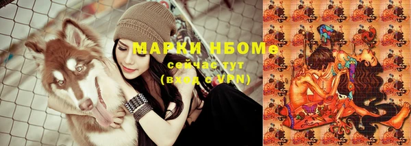 МДПВ Новозыбков