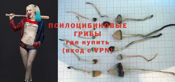 МДПВ Новокубанск