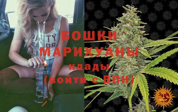 сатива Нея